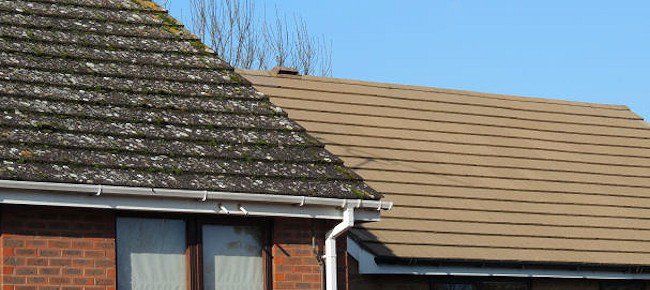 Roof Cleaning and Moss Cleaning Glasgow